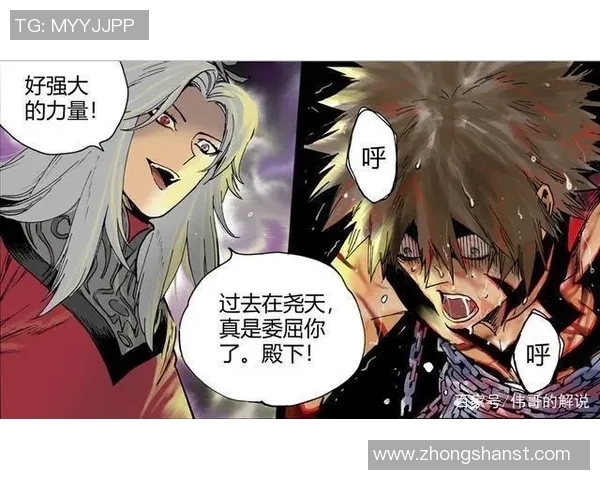 揭秘王者荣耀成功背后的秘密与赵磊的独特见解